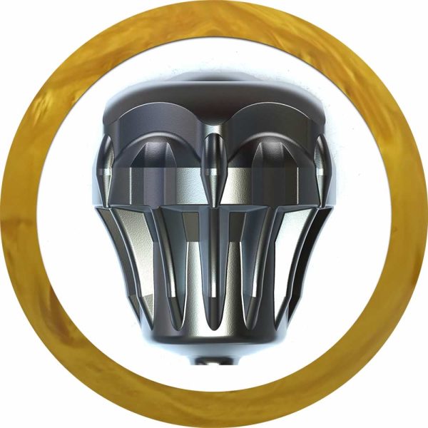 Raptor Rush - Image 2